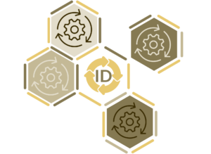 Structure & Process: A Gifted Identification Program